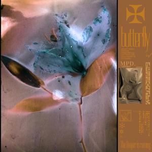 程程程美人图秀人网
